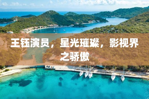 王钰演员，星光璀璨，影视界之骄傲