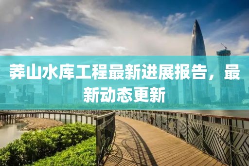 莽山水库工程最新进展报告，最新动态更新