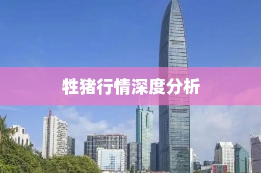2025年1月 第144页