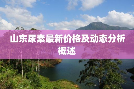 山东尿素最新价格及动态分析概述