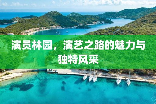 演员林园，演艺之路的魅力与独特风采