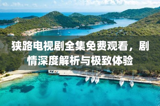 狭路电视剧全集免费观看，剧情深度解析与极致体验