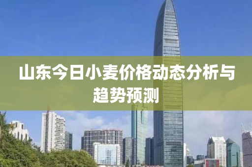 山东今日小麦价格动态分析与趋势预测