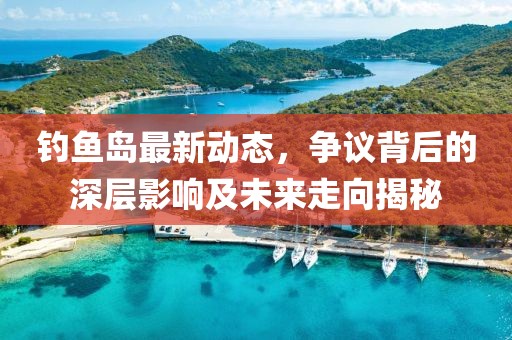 钓鱼岛最新动态，争议背后的深层影响及未来走向揭秘