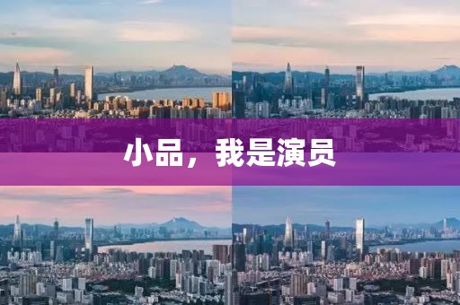 小品，我是演员