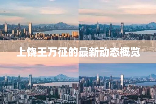 上饶王万征的最新动态概览