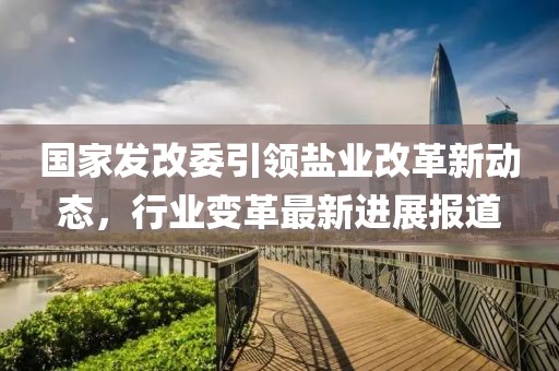 国家发改委引领盐业改革新动态，行业变革最新进展报道