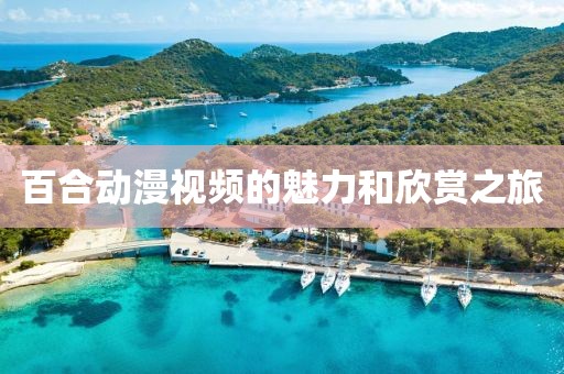 百合动漫视频的魅力和欣赏之旅