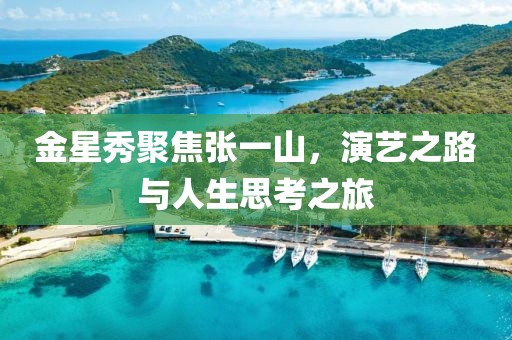 金星秀聚焦张一山，演艺之路与人生思考之旅