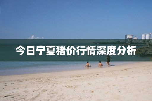 今日宁夏猪价行情深度分析