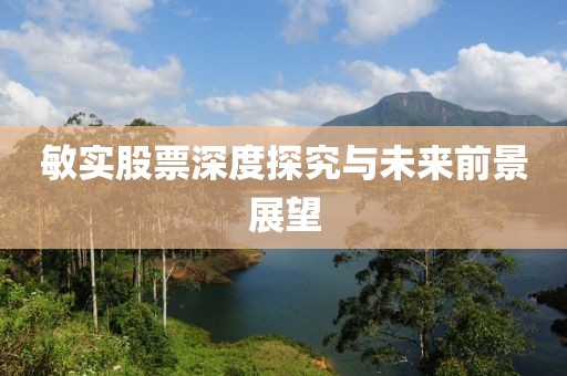 敏实股票深度探究与未来前景展望