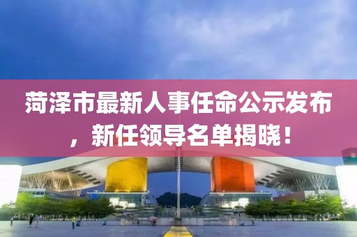 菏泽市最新人事任命公示发布，新任领导名单揭晓！