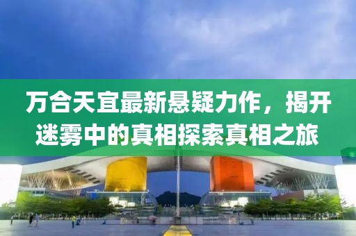 万合天宜最新悬疑力作，揭开迷雾中的真相探索真相之旅