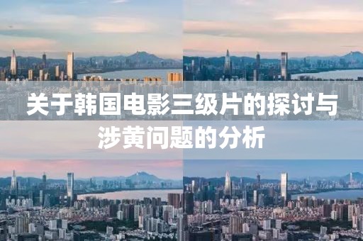 关于韩国电影三级片的探讨与涉黄问题的分析