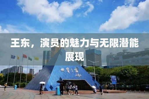 王东，演员的魅力与无限潜能展现