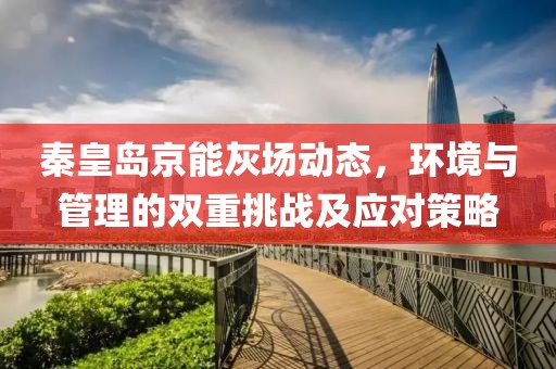 秦皇岛京能灰场动态，环境与管理的双重挑战及应对策略