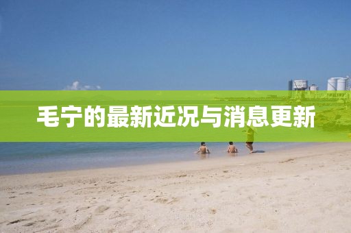 毛宁的最新近况与消息更新