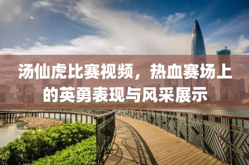 汤仙虎比赛视频，热血赛场上的英勇表现与风采展示