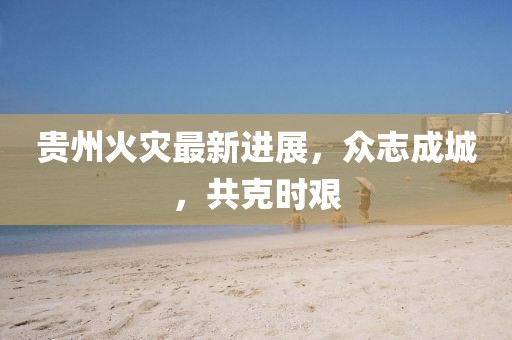 2025年2月 第456页