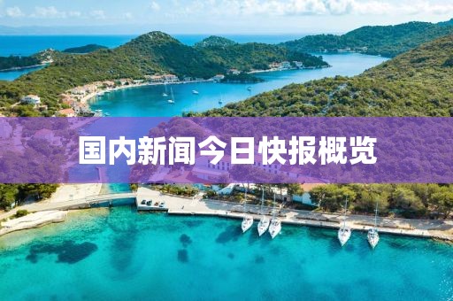 国内新闻今日快报概览
