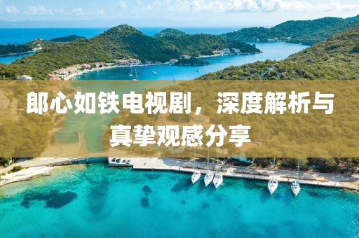 郎心如铁电视剧，深度解析与真挚观感分享