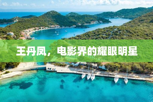 王丹凤，电影界的耀眼明星