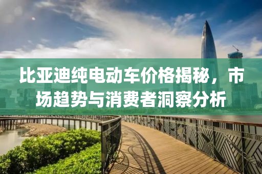 比亚迪纯电动车价格揭秘，市场趋势与消费者洞察分析
