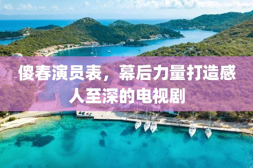 傻春演员表，幕后力量打造感人至深的电视剧