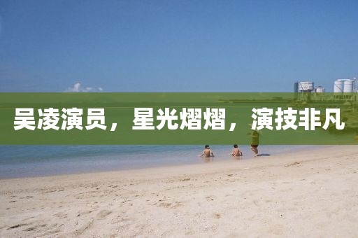 吴凌演员，星光熠熠，演技非凡