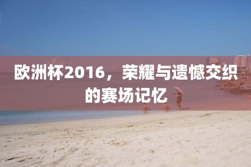 欧洲杯2016，荣耀与遗憾交织的赛场记忆