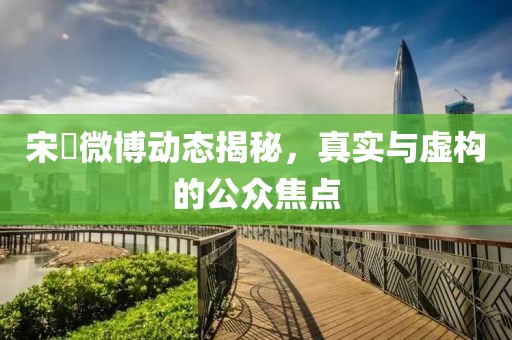 宋喆微博动态揭秘，真实与虚构的公众焦点