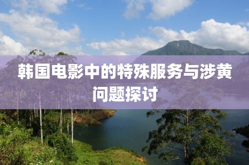 韩国电影中的特殊服务与涉黄问题探讨
