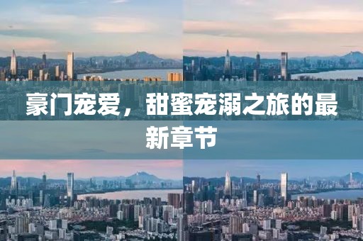 豪门宠爱，甜蜜宠溺之旅的最新章节
