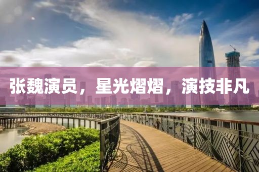 张魏演员，星光熠熠，演技非凡