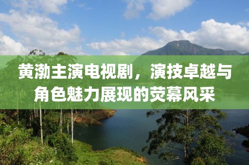 黄渤主演电视剧，演技卓越与角色魅力展现的荧幕风采