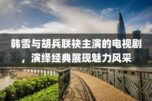 韩雪与胡兵联袂主演的电视剧，演绎经典展现魅力风采