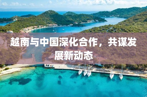 越南与中国深化合作，共谋发展新动态