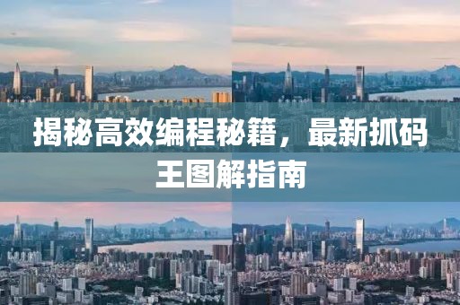 揭秘高效编程秘籍，最新抓码王图解指南