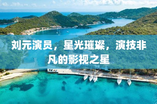 刘元演员，星光璀璨，演技非凡的影视之星