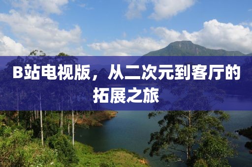 B站电视版，从二次元到客厅的拓展之旅