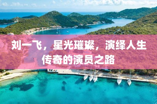 刘一飞，星光璀璨，演绎人生传奇的演员之路