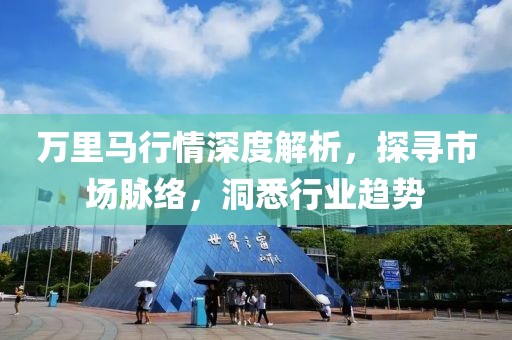 万里马行情深度解析，探寻市场脉络，洞悉行业趋势