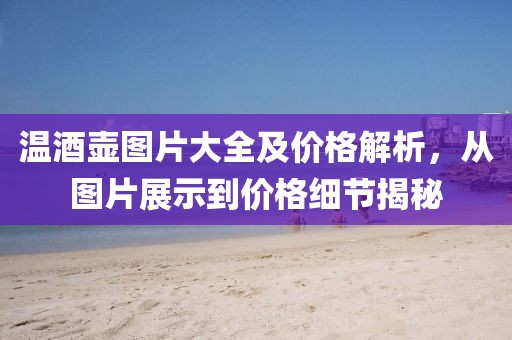 温酒壶图片大全及价格解析，从图片展示到价格细节揭秘