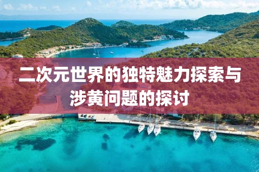 二次元世界的独特魅力探索与涉黄问题的探讨