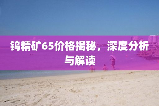 钨精矿65价格揭秘，深度分析与解读