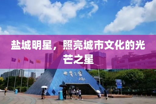 盐城明星，照亮城市文化的光芒之星