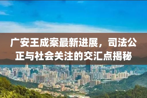 广安王成案最新进展，司法公正与社会关注的交汇点揭秘