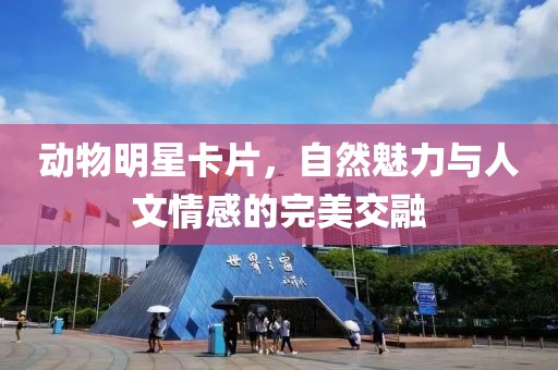 动物明星卡片，自然魅力与人文情感的完美交融