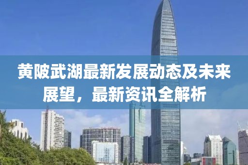 黄陂武湖最新发展动态及未来展望，最新资讯全解析