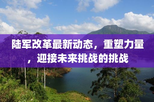 陆军改革最新动态，重塑力量，迎接未来挑战的挑战